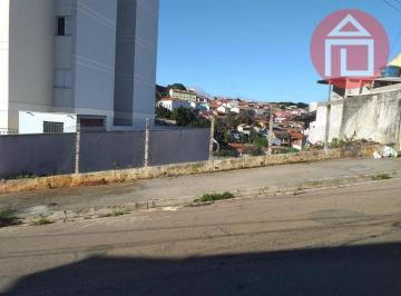 cb8bc56f60a5d01c0841474f155a6ec576af2a23 · Terreno de 338 m² na Vila Aparecida