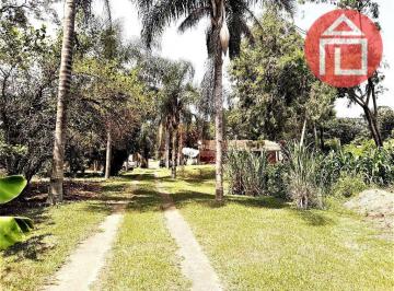 422d3ed0061444627ec49444063ac6c1ad050d68 · Chácara com 4 dormitórios à venda, 4700 m² por R$ 1.170.000,00 - Guaripocaba - Bragança Paulista/SP