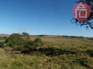 482ad5aae97fdd730c82e5f37805e6947b3b17b0 · Chácara com 12 dormitórios à venda, 118000 m² por R$ 2.500.000,00 - Mãe dos Homens - Bragança Paulis