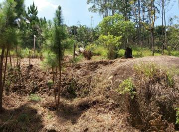 f848110200b401607f91bfdac2358b6bcaa88bb4 · Área à venda, 15619 m² por R$ 1.300.000,00 - Cotia - Cotia/SP