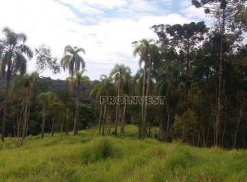 9c36f3d421a75602c91250089601bab815eabfeb · Área à venda, 21786 m² por R$ 1.300.000,00 - Jardim Nossa Senhora das Graças - Cotia/SP