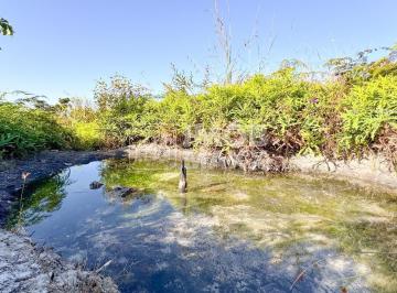 Rural · 28000m² · Chácara a venda NR Euller Paranhos - terra nua - 28000 m² - com nascente - Es...