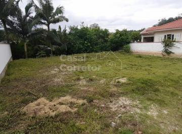 Terreno · 285m² · TERRENO PLANO COM ÓTIMA LOCALIZAÇÃO NO BAIRRO SANTA RITA