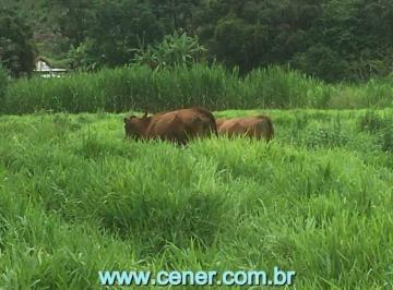 Rural · 70m² · Bela Fazenda de 70,55 ha com Ótima estrutura e Localização Georreferenciada
