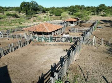 Rural · 3340m² · Ótima Fazenda de 3.340 ha em Manga Pronta para pecuária e Possibilidade de Pivô