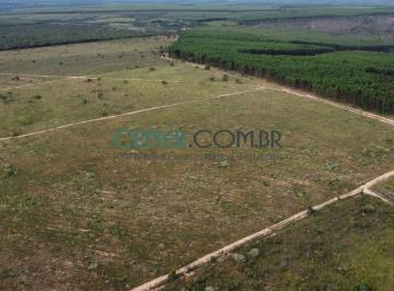 Rural · 242m² · Excelente Fazenda de 242 ha em Pompeu com eucalipto e preparada para Lavouras.