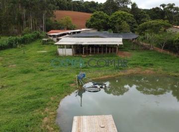Rural · 7m² · Ótimo Sítio de 7,7 ha Pronto, muita Água e Total Possibilidade de Irrigação
