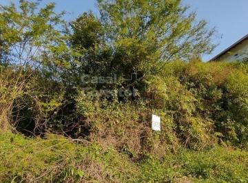 Terreno · 360m² · TERRENO EM LOTEAMENTO DE 240m² NO BAIRRO SÃO PEDRO