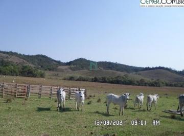 Rural · 320m² · Excelente Fazenda de 320 ha toda Formada, altitude de 1.200 M Ótima Topografia