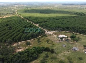 Rural · 722m² · Excelente Fazenda de 722 ha com 305 ha de eucalipto em Curvelo