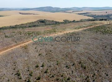 Rural · 120m² · Fazenda de 120 ha Espetacular para Lavoura na Região de Madre de deus MG