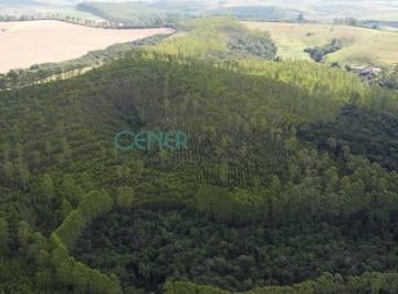 Rural · 121m² · Fazenda de 121 ha Ótima para Lavoura Próximo a Madre de Deus de Minas