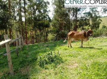 Rural · 37m² · Lindo Sítio de 37 ha Pertinho de BH