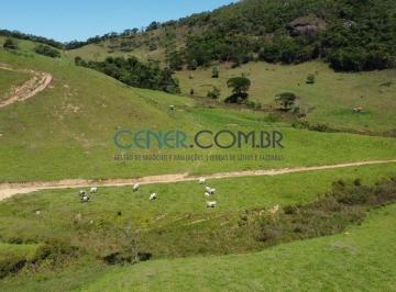 Rural · 273m² · Excelente Fazenda de 273 ha nas Margens do Rio Piranga em Ponte nova MG