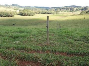 Rural · 36m² · Belíssima Fazenda de 36 Ha com Qualidade Extraordinária a 93 km de BH