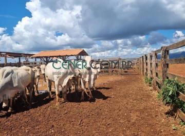 Rural · 1031m² · Fazenda de 1.031 ha a 65 Km de Belo Horizonte e na Área de expansão de Congonhas MG