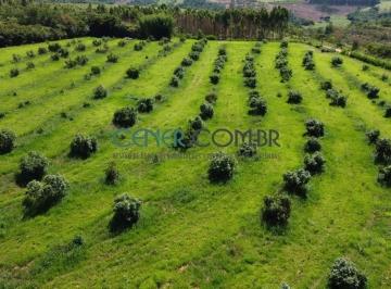 Rural · 13m² · Sítio de 13 ha com Plena Produção de abacate a 100 Km de BH
