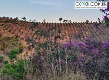 Rural · 4m² · Sítio de 4,5 ha com Produção de Mexerica Pockan em Inicio Produtivo