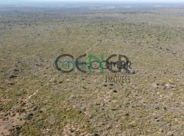 Rural · 2956m² · Fazenda de 2.956,62 ha toda Plana Ótima para Reflorestamento