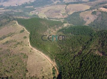 Rural · 466000m² · Fazenda de 46,6 ha com 30 ha de eucalipto em Barroso MG