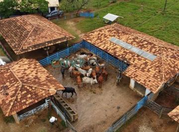 Rural · 110m² · Extraordinária Fazenda de 110,8 ha Prontinha com muita Qualidade em Curvelo MG