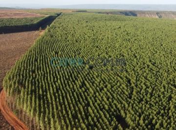 Rural · 1700m² · Fazenda de 1700 ha com 1.140 ha em Florestas de eucalipto - Espetacular
