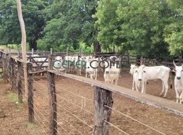 Rural · 1552m² · Excelente Fazenda de 1.552 ha na Região de Sete Lagoas MG
