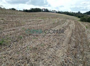 Rural · 89m² · Espetacular Terreno de 90 ha para Lavouras e pecuária em Resende Costa MG