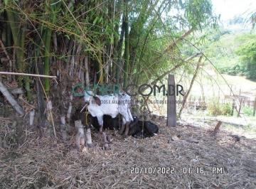 Rural · 94m² · Ótima Fazenda de 94 ha em Andrelândia MG