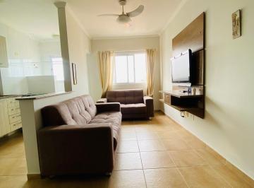 Apartamento · 46m² · 1 Quarto · 1 Vaga · Apartamento 1 Quartos em Vila Tupi - Praia Grande, SP