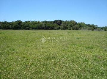 e1ca39ce-3d46-45ad-aef2-f70c6749ab7e · Terreno de 1452 m² na Morada das Figueiras, localizado na Estrada do Palmital, em Osório - RS