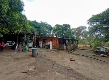 Rural , Sobradinho · CHÁCARA PRÓXIMA QUADRA 17 SOBRADINHO