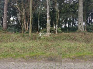 00 · Terreno à venda em Bela Vista, Caxias do Sul
