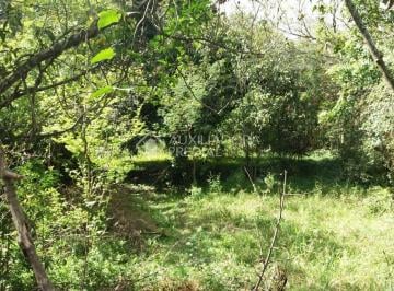 20190904_101421 · TERRENO PRA COND FECHADO JUNTO TERRAVILLE