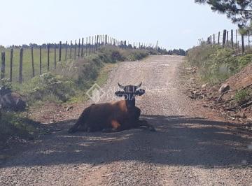 327016_i195Ryj6r51Ep5yem0_3270165fb3254e77460.jpg · 10 ha de terras na Fazenda Pedras Brancas em São Marcos
