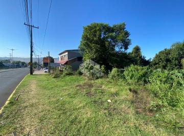 495233_ih7g8q_49523365949451821a0.jpg · Terreno no bairro Cidade Nova - Ivoti