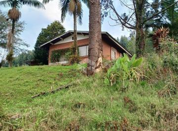 WhatsApp Image 2024-08-19 at 12.58 · Sitio em Nova Petropolis