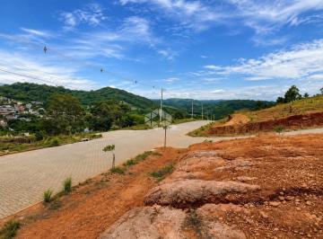 Terreno · 250m² · LOTEAMENTO FLORESTA IMPERIAL