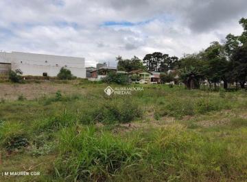 388462_if09z19VqV758_38846263444d7c538e1.jpg · Terreno no bairro Campestre