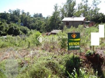 384223_i8u113_38422363175232a9d8e.jpg · Terreno no bairro Carneiros