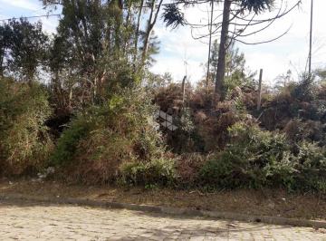 439957_ipv3f1jcvK6nr_43995764f604981e2d7.jpg · TERRENO NO BAIRRO PIONEIRO