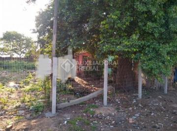 349655_iY1eraf27699q4f377_349655619e34f32dcc7.jpg · Terreno no Bairro liberdade com 13m x 33m