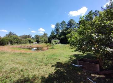 508802_iw6DD3r6674g669W4Wb_50880265e8d1dd23034.jpg · Chácara à venda na ZONA RURAL DE SAPUCAIA DO SUL