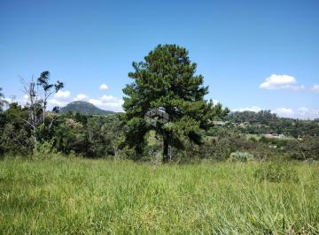 508802_iw6DD3r6674g669W4Wb_50880265e8d1d986c2c.jpg · Chácara à venda na ZONA RURAL DE SAPUCAIA DO SUL