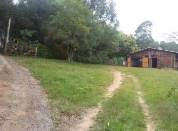 212892_in61CkNx01_212892587cd20c476a4.jpg · SITIO GALPAO ARVORES FRUTIFERAS