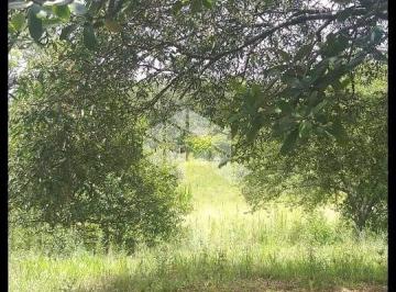 240030_ikWtEt42J294_24003062b9ac3c7d87d.jpg · Sitio com 4 hectares ,açude, pomar, lomba do Pinheiro