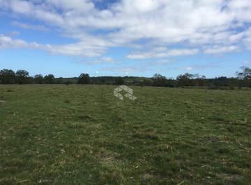 423657_iPsGHIlE_42365764affa3b2cb10.jpg · Fazenda à venda em Quaraí no RS