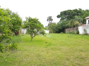 57452_57452_178907.jpg · Terreno Comercial À Venda, Ipanema, Porto Alegre.