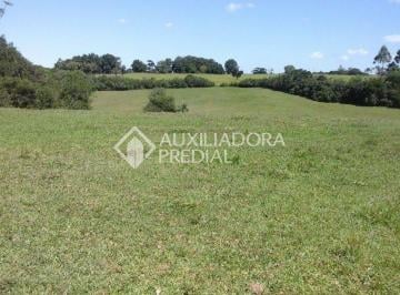 268463_in194Nd6NuL8yS_2684635b6889168fe1e.jpg · Propriedade Rural no bairro Santo Onofre