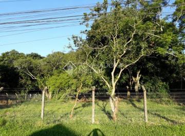 284611_irjw54x960K67tEuEM_2846115c587b4960620.jpg · Terreno à venda em Gravataí - Passos dos Ferreiros